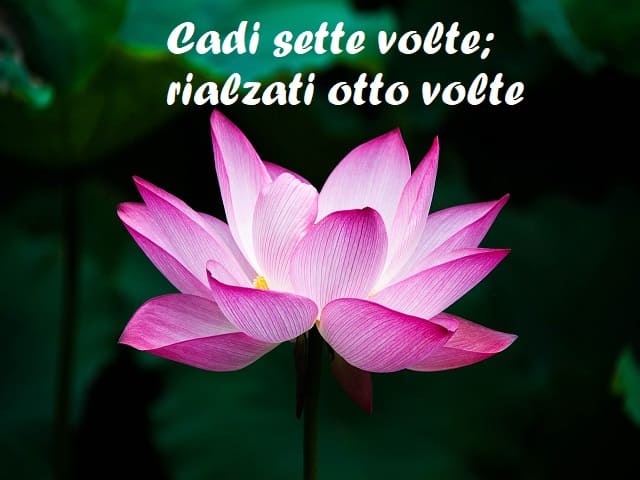 Cadi sette volte; rialzati otto volte.