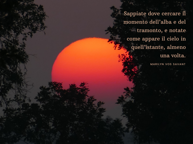 Sappiate dove cercare il momento dell’alba e del tramonto, e notate come appare il cielo in quell’istante, almeno una volta. (Marilyn vos Savant)