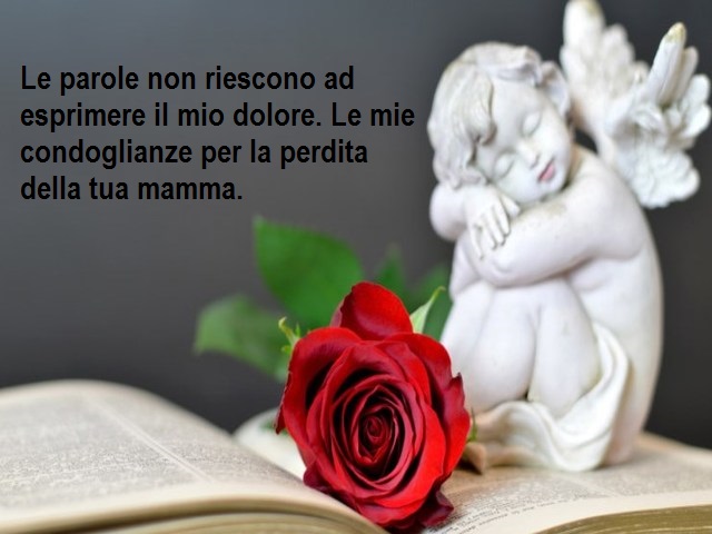 Le parole non riescono ad esprimere il mio dolore. Le mie condoglianze per la perdita della tua mamma.