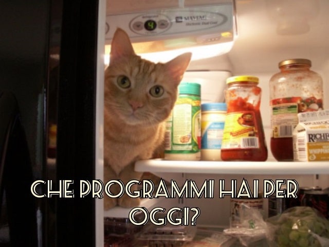 Che programmi hai per oggi?