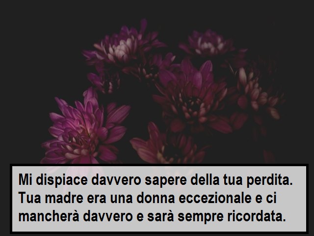 Mi dispiace davvero sapere della tua perdita. Tua madre era una donna eccezionale e ci mancherà davvero e sarà sempre ricordata.