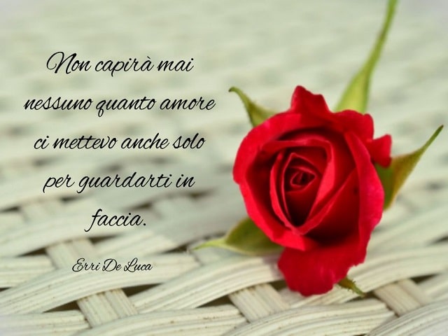 Non capirà mai nessuno quanto amore ci mettevo anche solo per guardarti in faccia.(Erri De Luca)