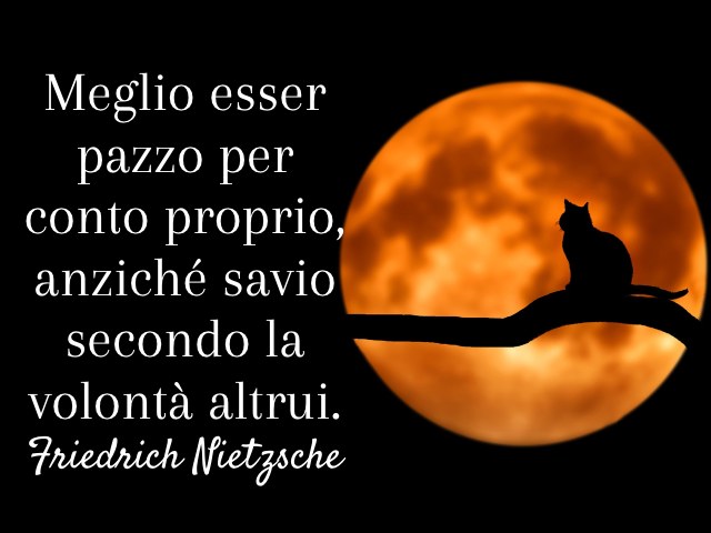 Meglio esser pazzo per conto proprio, anziché savio secondo la volontà altrui. (Friedrich Nietzsche)