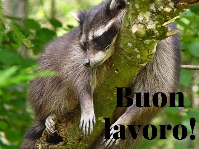 Buon lavoro!