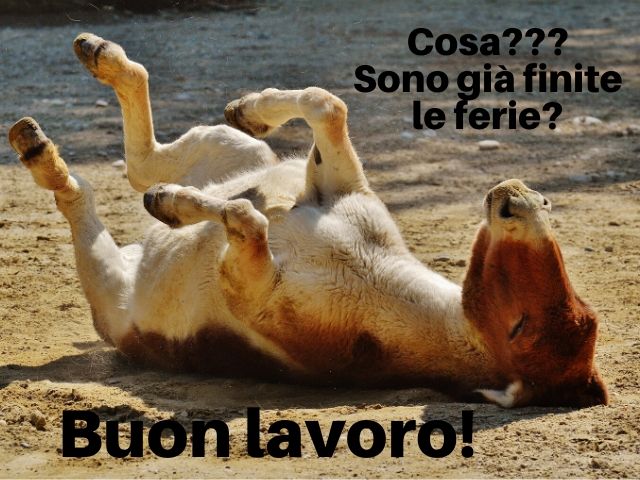 Cosa??? Sono già finite le ferie? Buon lavoro!
