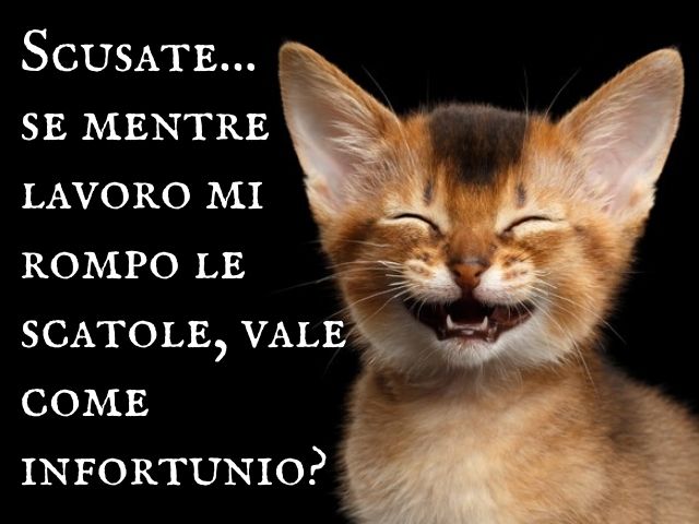 Scusate... se mentre lavoro mi rompo le scatole, vale come infortunio?