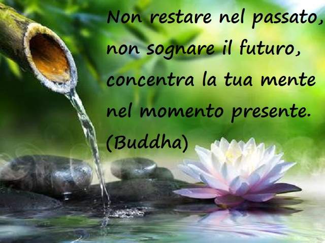 Non restare nel passato, non sognare il futuro, concentra la tua mente nel momento presente.(Buddha)