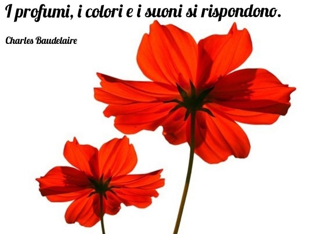 I profumi, i colori e i suoni si rispondono.(Charles Baudelaire)