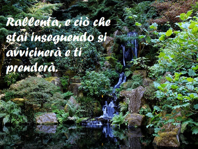 Rallenta, e ciò che stai inseguendo si avvicinerà e ti prenderà.