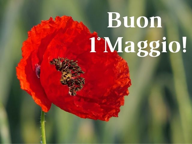 Buon 1° Maggio!