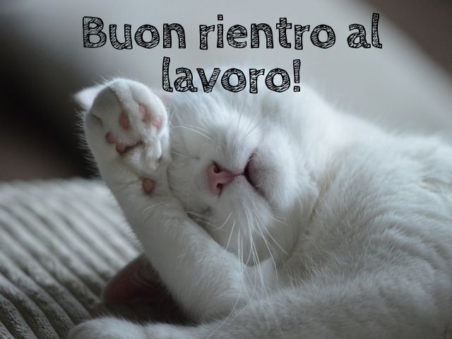 Buon rientro al lavoro!