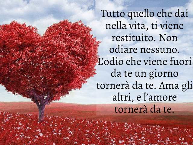 Tutto quello che dai nella vita, ti viene restituito. Non odiare nessuno. L’odio che viene fuori da te un giorno tornerà da te. Ama gli altri, e l’amore tornerà da te.