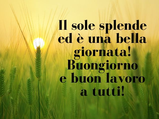 Il sole splende ed è una bella giornata! Buongiorno e buon lavoro a tutti!