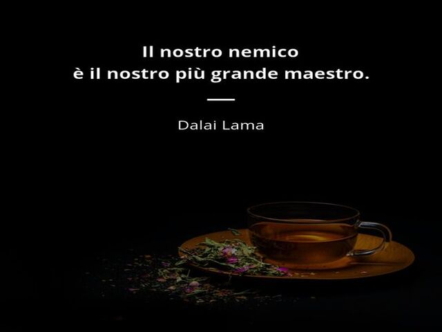 Il nostro nemico è il nostro più grande maestro. (Dalai Lama)