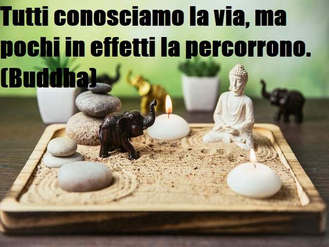 Tutti conosciamo la via, ma pochi in effetti la percorrono.(Buddha)