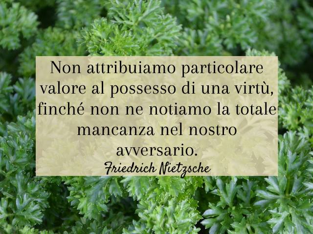 Non attribuiamo particolare valore al possesso di una virtù, finché non ne notiamo la totale mancanza nel nostro avversario. (Friedrich Nietzsche)