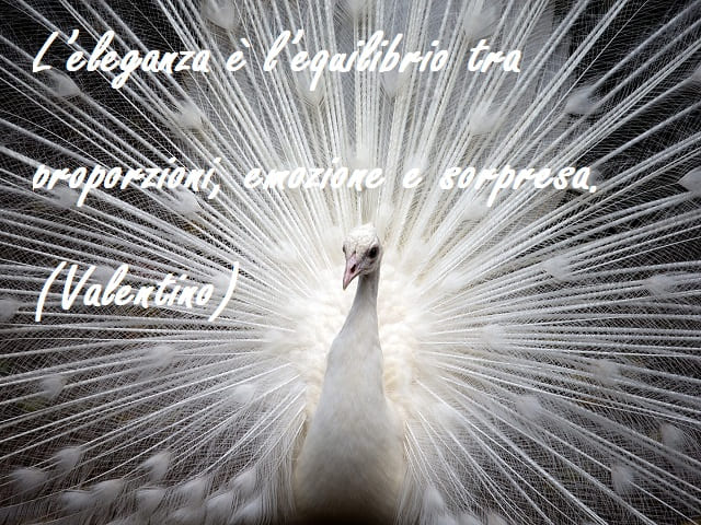 L'eleganza è l'equilibrio tra proporzioni, emozione e sorpresa. (Valentino)