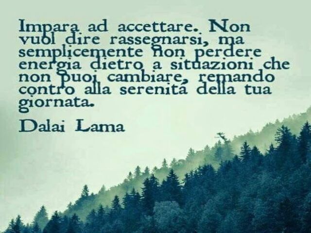 Impara ad accettare. Non vuol dire rassegnarsi, ma semplicemente non perdere energia dietro a situazioni che non puoi cambiare, remando contro alla serenità della tua giornata. (Dalai Lama)