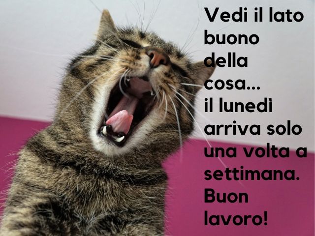 Vedi il lato buono della cosa... il lunedì arriva solo una volta a settimana.Buon lavoro!
