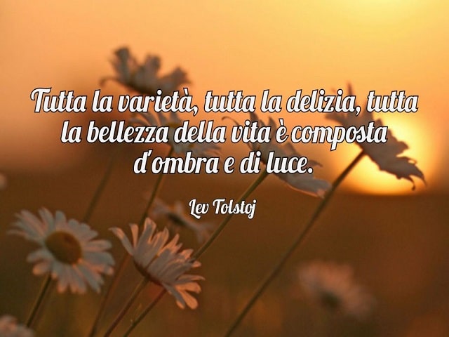 Tutta la varietà, tutta la delizia, tutta la bellezza della vita è composta d'ombra e di luce.(Lev Tolstoj)