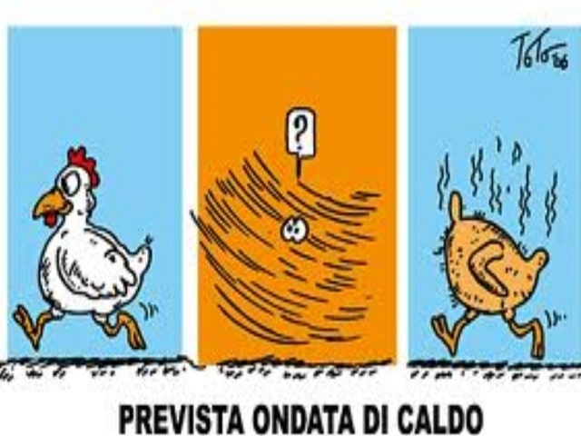 Prevista ondata di caldo.