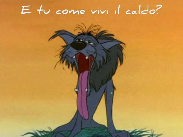 E tu come vivi il caldo?