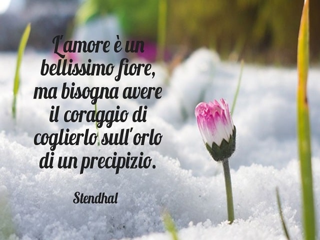 L'amore è un bellissimo fiore, ma bisogna avere il coraggio di coglierlo sull'orlo di un precipizio.(Stendhal)