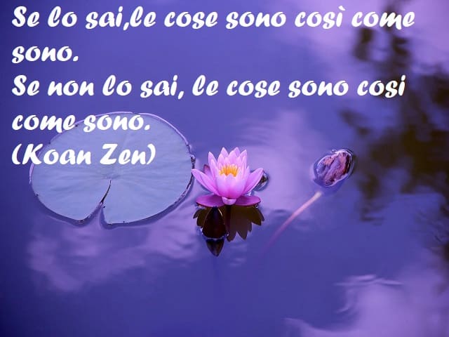 Se lo sai, le cose sono così come sono. Se non lo sai, le cose sono così come sono. (Koan Zen)