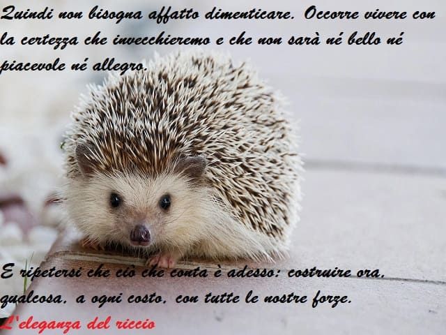 Quindi non bisogna affatto dimenticare. Occorre vivere con la certezza che invecchieremo e che non sarà né bello né piacevole né allegro. E ripetersi che ciò che conta è adesso: costruire ora, qualcosa, a ogni costo, con tutte le nostre forze. (L'eleganza