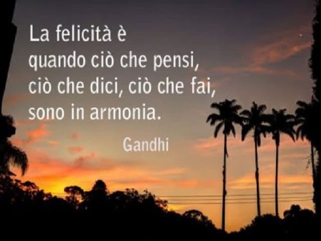 La felicità è quando ciò che pensi, ciò che dici, ciò che fai, sono in armonia. (Mahatma Gandhi)