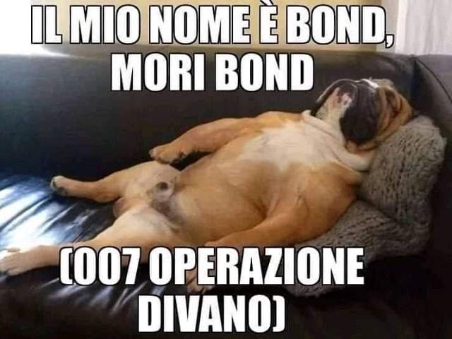 Il mio nome è Bond, Mori Bond (007 operazione divano).