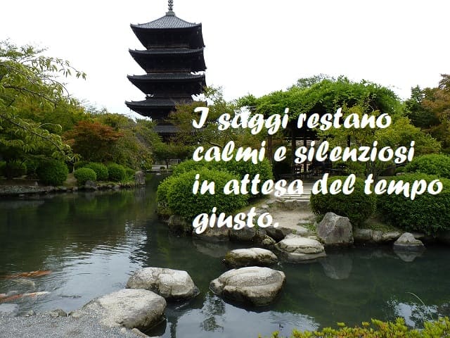I saggi restano calmi e silenziosi in attesa del tempo giusto