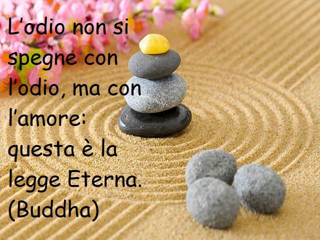 L’odio non si spegne con l’odio, ma con l’amore: questa è la legge Eterna.(Buddha)