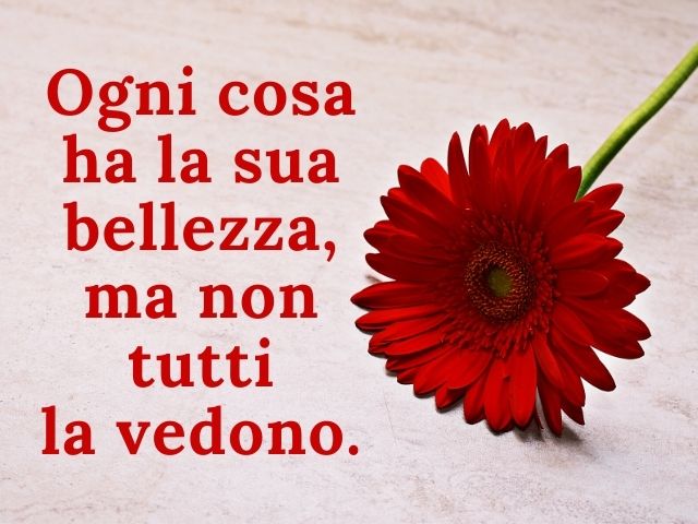 Ogni cosa ha la sua bellezza, ma non tutti la vedono.(Confucio)