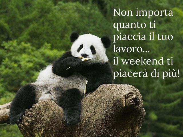 Non importa quanto ti piaccia il tuo lavoro... il weekend ti piacerà di più!