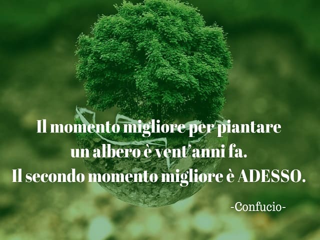 il momento migliore per piantare un albero è vent'anni fa. Il secondo momento migliore è adesso.(Confucio)