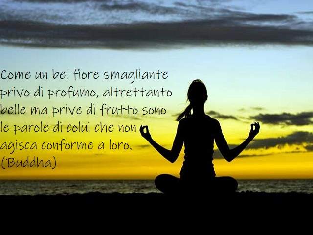 Come un bel fiore smagliante privo di profumo, altrettanto belle, ma prive di frutto sono le parole di colui che non agisca conforme a loro.(Buddha)