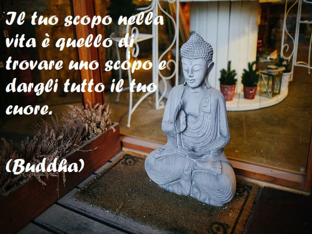 Il tuo scopo nella vita è quello di trovare uno scopo e dargli tutto il tuo cuore. (Buddha)
