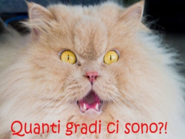 Quanti gradi ci sono?!