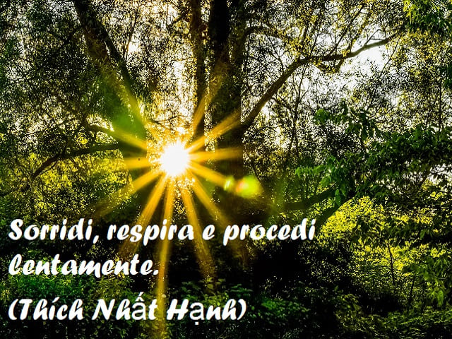 Sorridi, respira e procedi lentamente. (Thích Nhất Hạnh)
