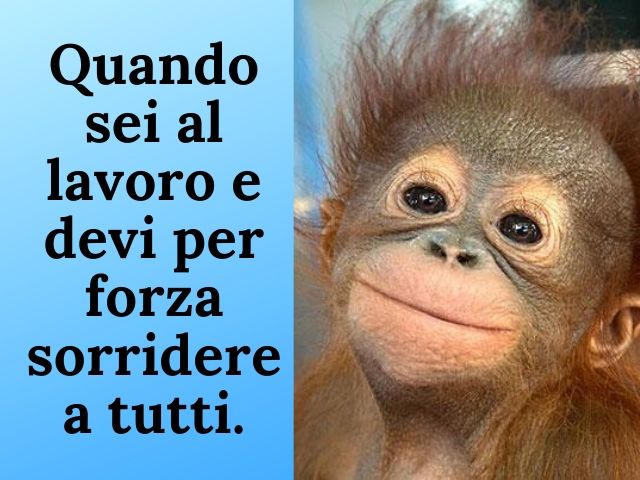 Quando sei al lavoro e devi per forza sorridere a tutti.
