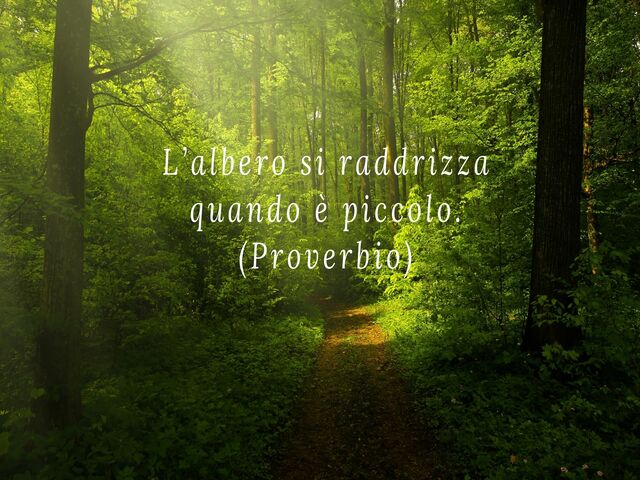 L’albero si raddrizza quando è piccolo.(Proverbio)