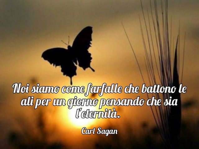 Noi siamo come le farfalle che battono le ali per un giorno pensando che sia l'eternità.(Carl Sagan)
