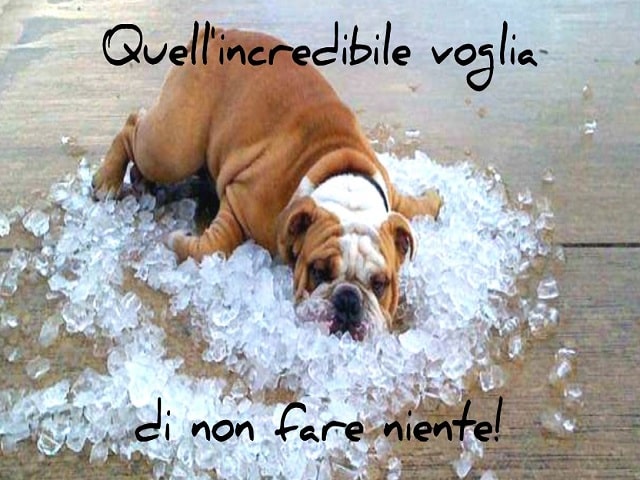 Quell'incredibile voglia di non fare niente!