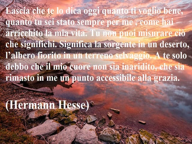 Lascia che te lo dica oggi quanto ti voglio bene, quanto tu sei stato sempre per me, come hai arricchito la mia vita. Tu non puoi misurare ciò che significhi. Significa la sorgente in un deserto, l'albero fiorito in un terreno selvaggio. A te solo debbo c
