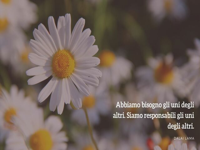 Abbiamo bisogno tutti gli uni degli altri. Siamo responsabili gli uni degli altri. (Dalai Lama)