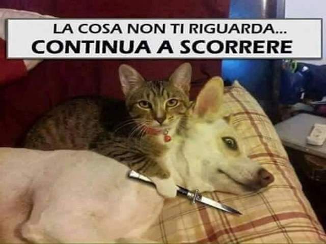 La cosa non ti riguarda...continua a scorrere.