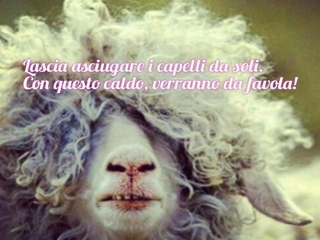 Lascia asciugare i capelli da soli. Con questo caldo, verranno da favola!