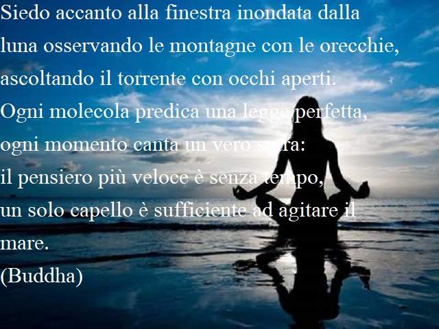 Siedo accanto alla finestra inondata dalla luna osservando le montagne con le orecchie,ascoltando il torrente con occhi aperti.Ogni molecola predica una legge perfetta,ogni momento canta un vero sutra:il pensiero più veloce è senza tempo,un solo capello è