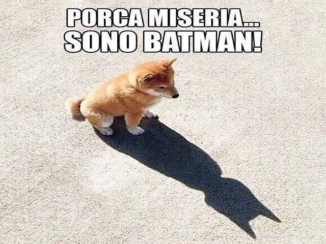 Porca miseria...Sono Batman!